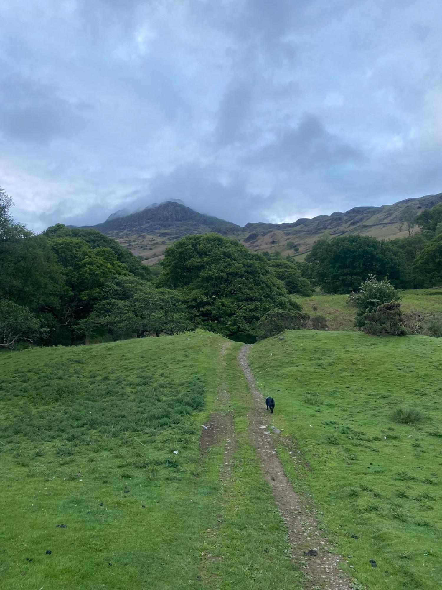 Cosy Glamping In The Eskdale Valley - Studio Lodges And Mega Pods Экстерьер фото